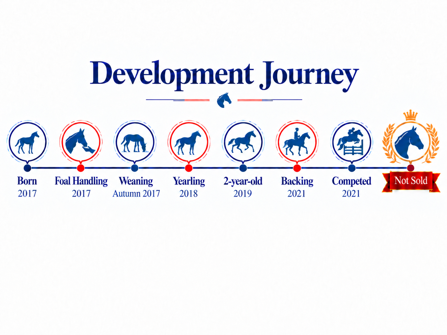 A timeline titled 'Development Journey' displaying stages of a horse's growth from 2017 to 2021, including Born, Foal Handling, Weaning, Yearling, 2-year-old, Bacing, Competed, and Not Sold, with icons and dates for each stage.