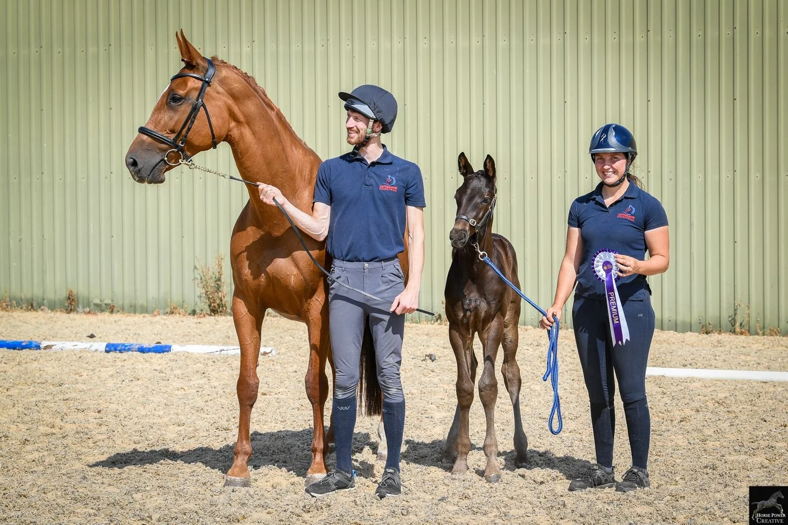 Man and woman standing with two young horses, one large and one small, in an outdoor riding arena with a green metal wall in the background. The man is holding the larger horse's reins, and the woman is holding the smaller horse's lead rope and a purple ribbon.