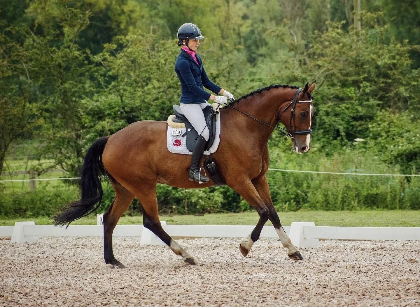 A woman riding a brown horse in a dressage arena, with trees and greenery in the background.