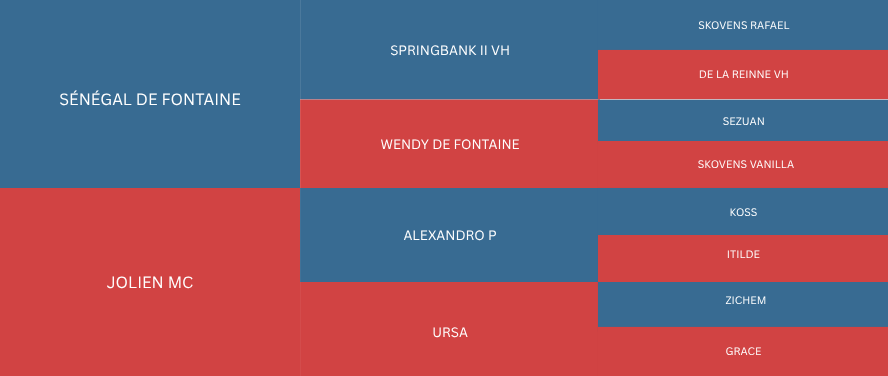 A tournament bracket chart with blue and red blocks displaying player names.