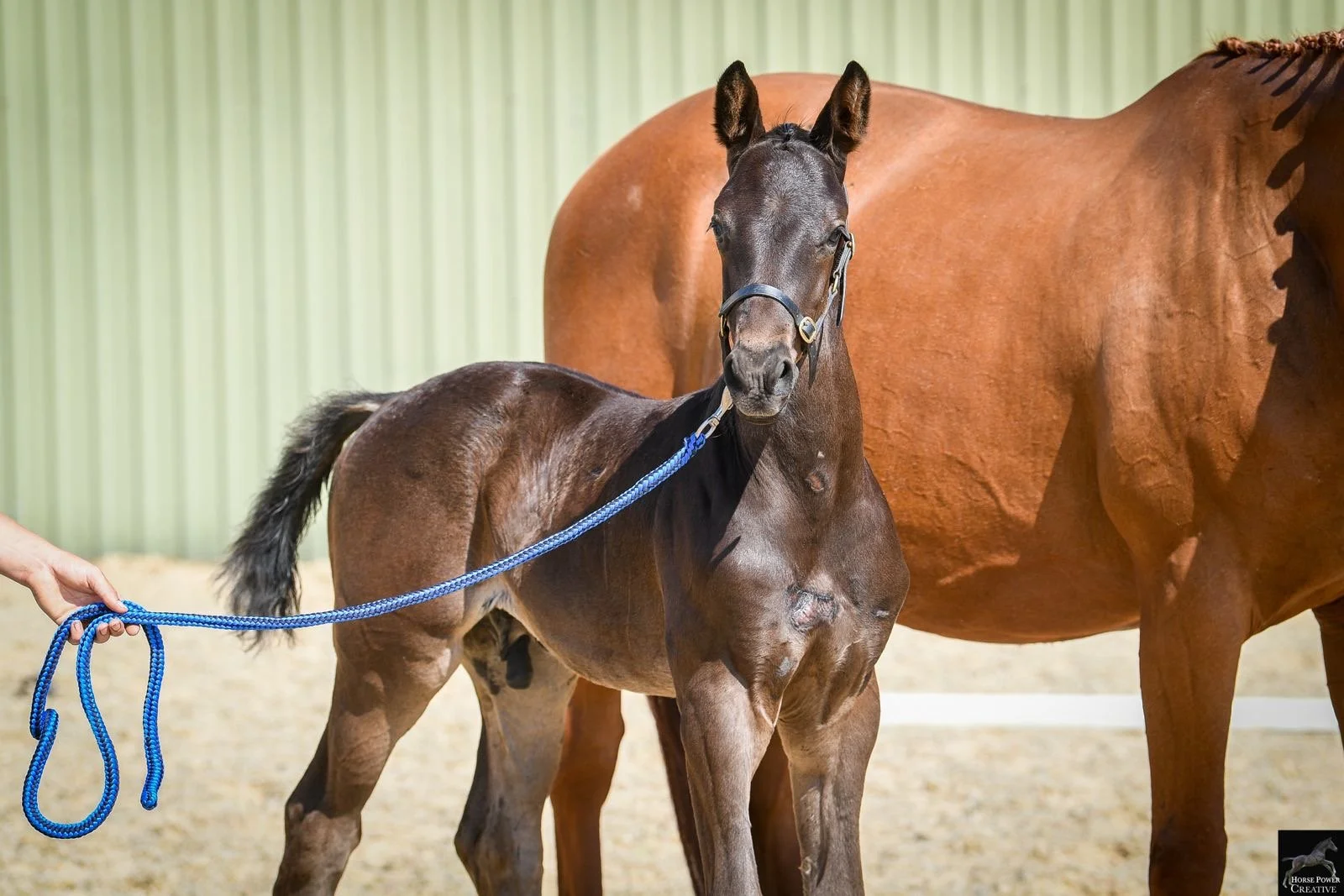 fc73a655-72f6-491a-8b46-6c5d5eafa783.JPG