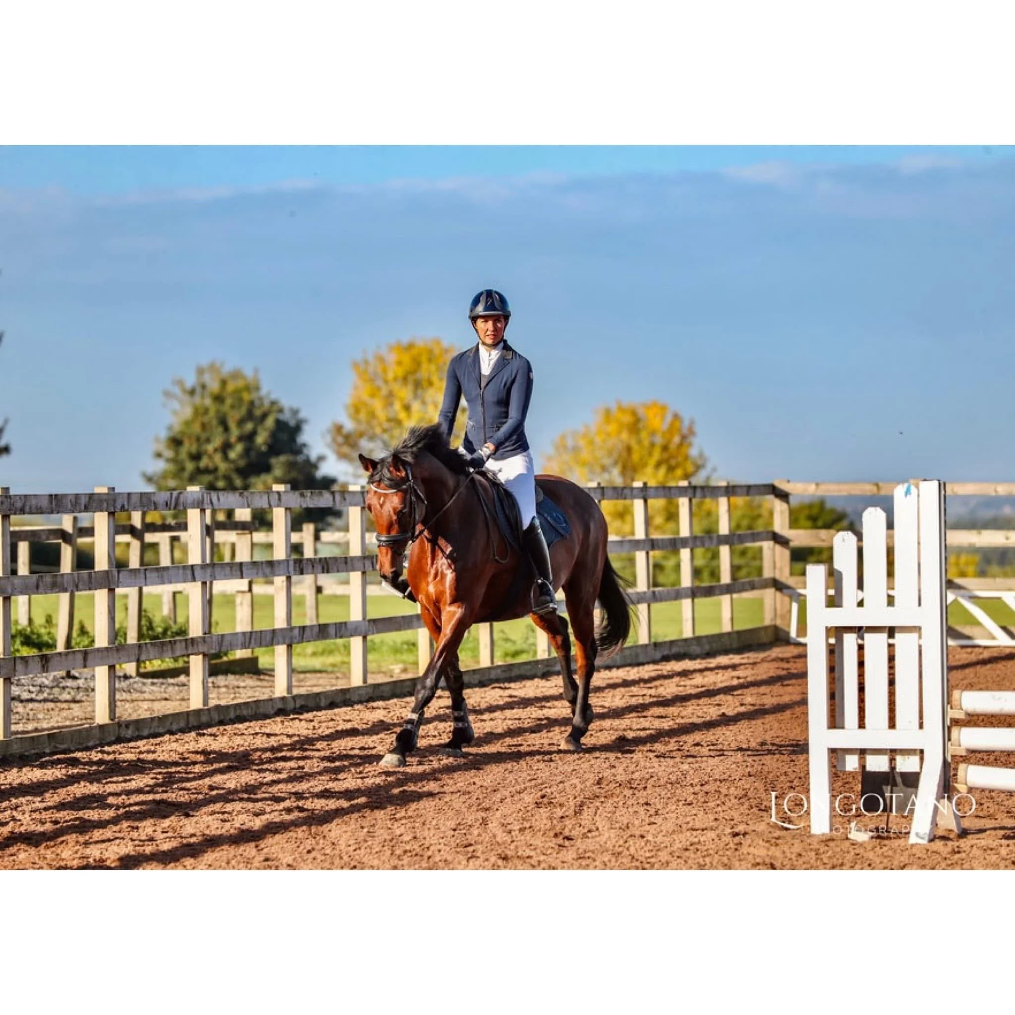 A person riding a brown horse inside a white fenced outdoor riding arena on a sunny day with a blue sky and trees in the background.