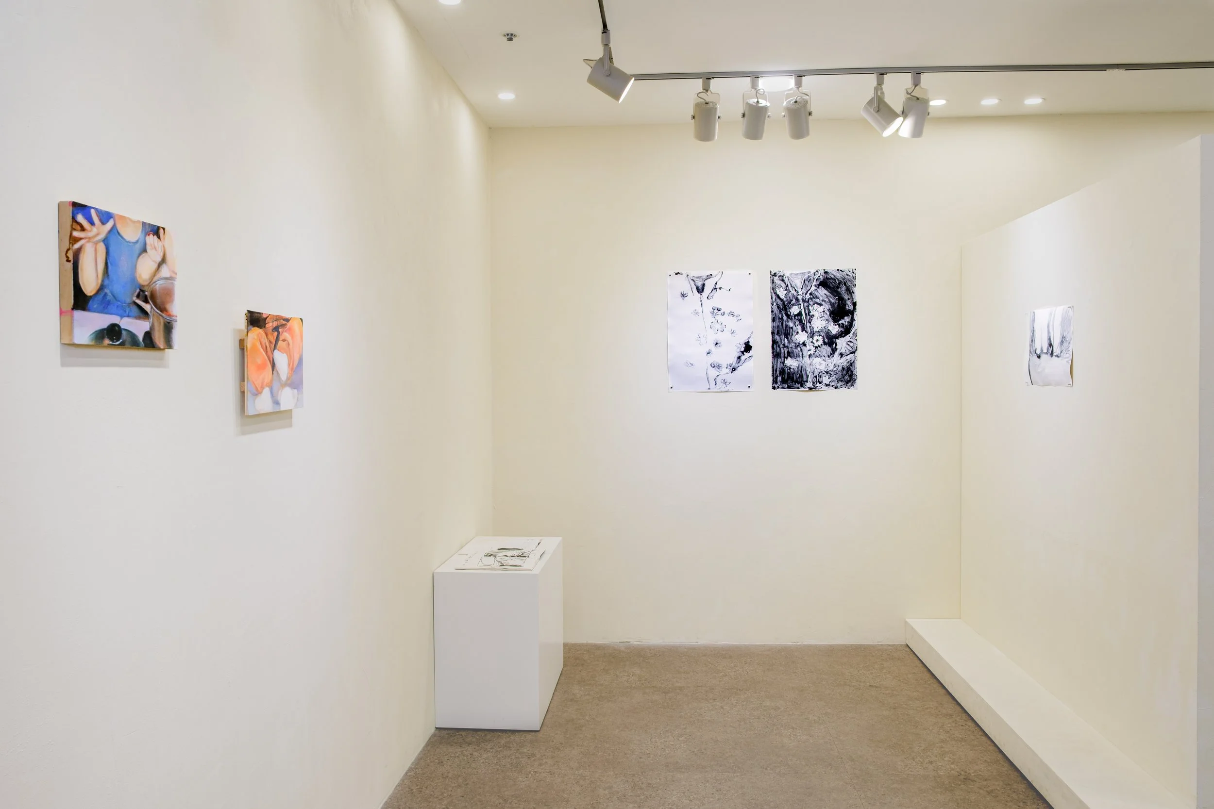 An art gallery with white walls displaying six abstract paintings. Spotlights on the ceiling illuminate the artworks, and there are white pedestals below some of the paintings.