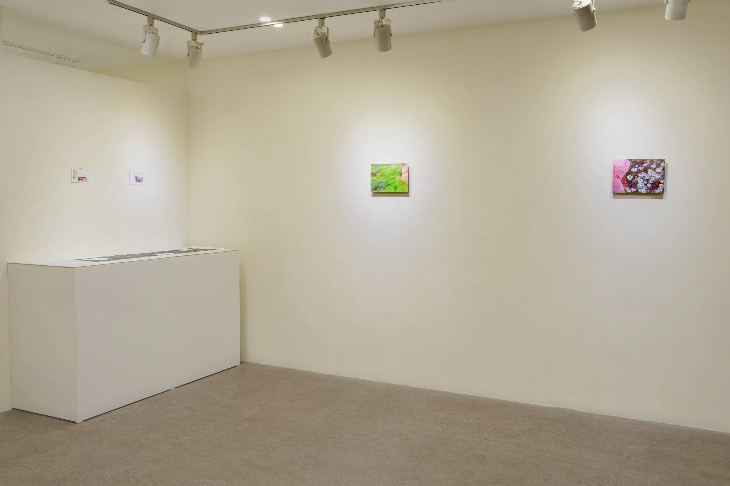 An art gallery with white walls displaying small colorful paintings. Track lighting illuminates the artworks, and a white pedestal with artwork or papers is positioned in the foreground.