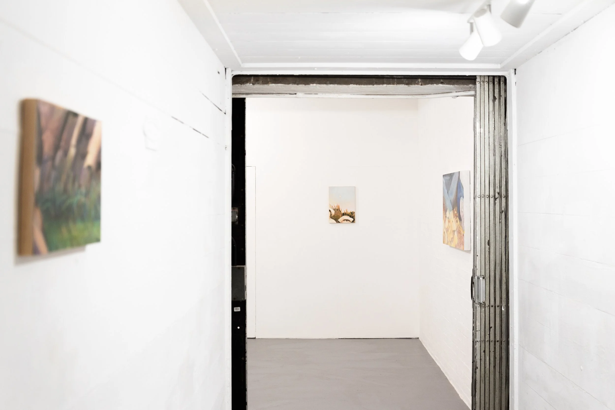 Gallery hallway with white walls, artwork on both sides, and an elevator door at the end.