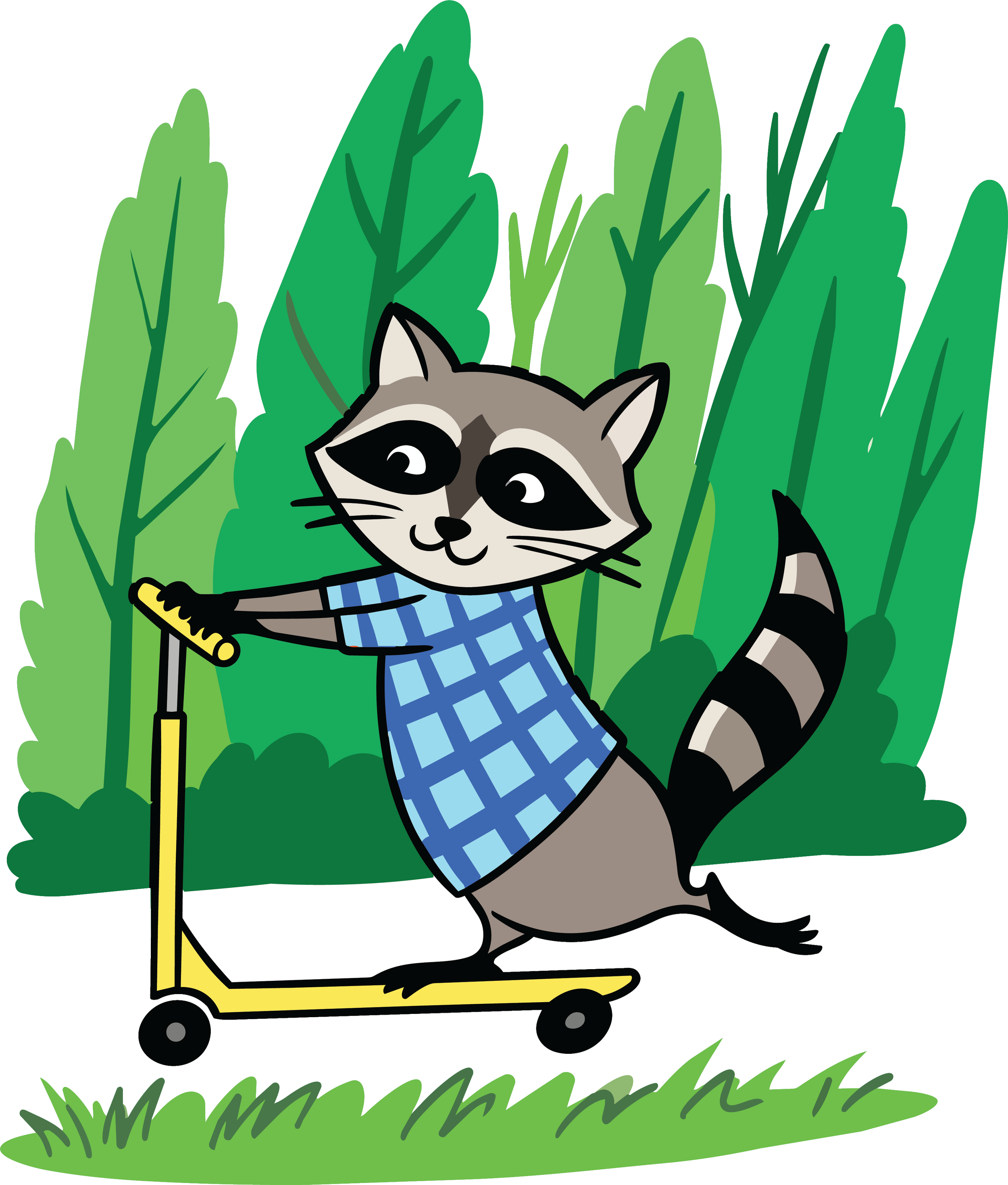 raccoon print f 2.png
