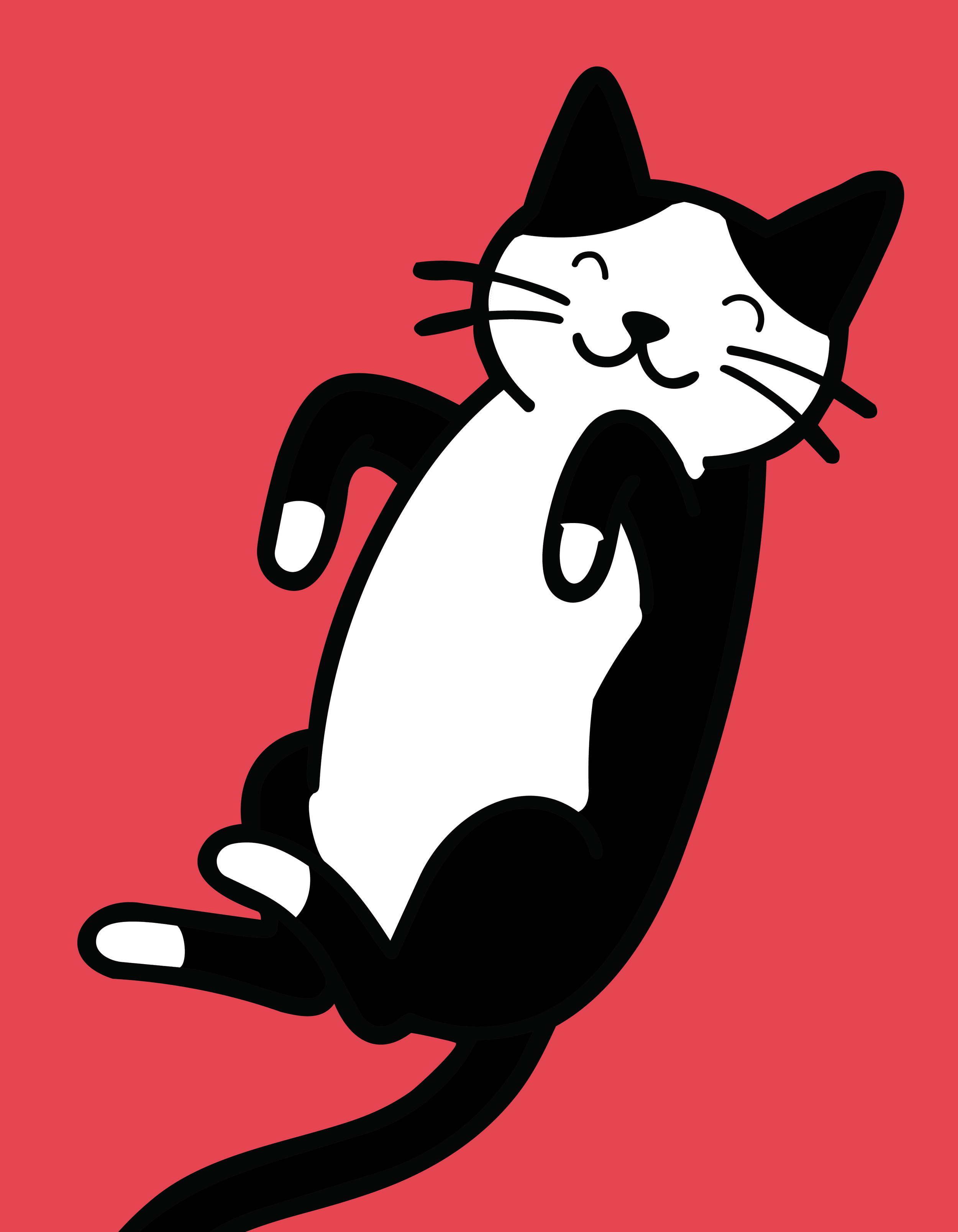 11 X 14 CATKU 8.png