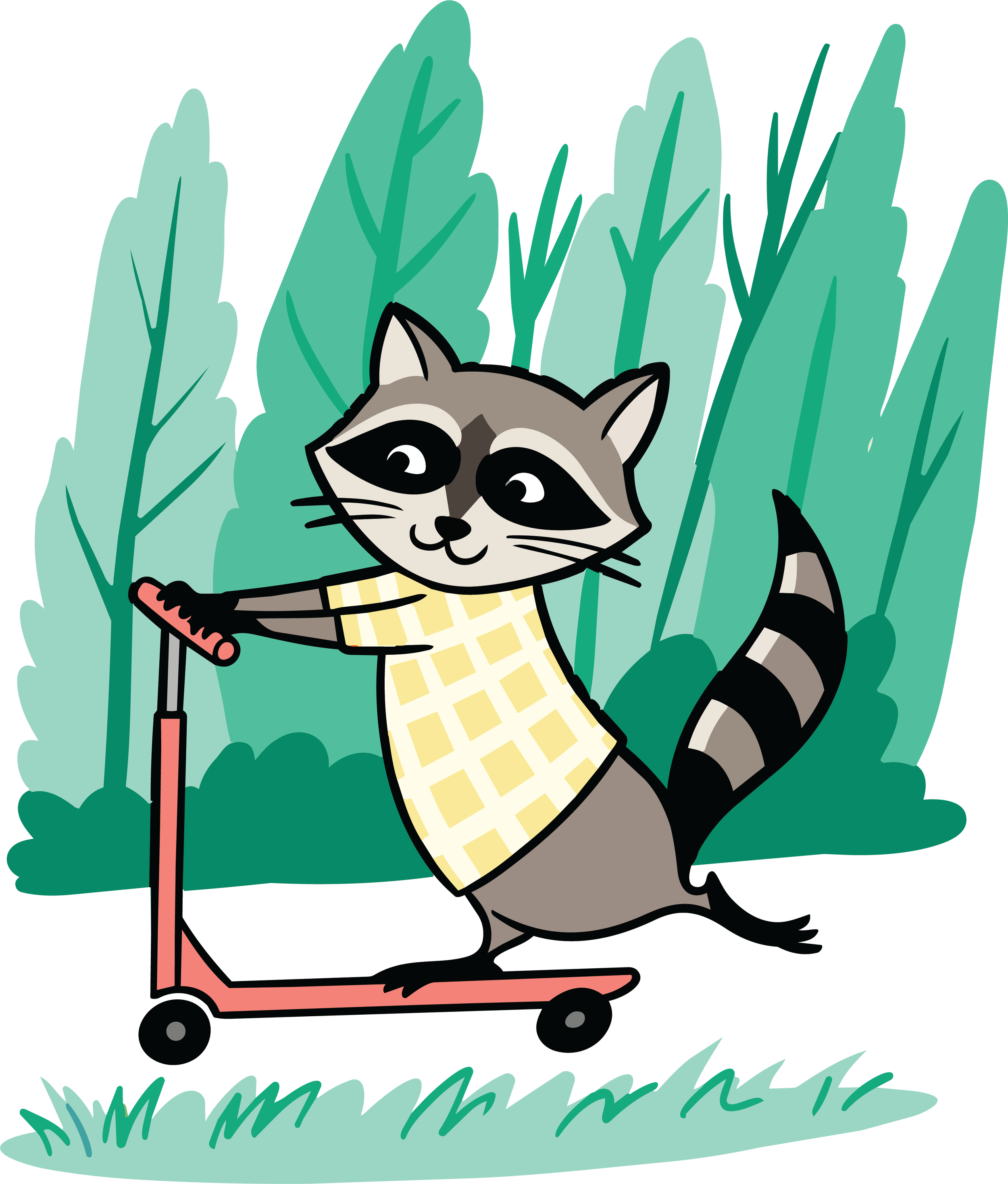 raccoonprint f 4.png
