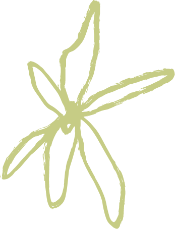 A simplified, stylized drawing of a star-shaped flower or plant with several elongated petals or leaves, shaded in light green.