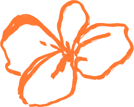 Line drawing of an orange flower with four petals.