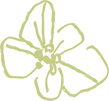 A simple line drawing of a flower with five petals.