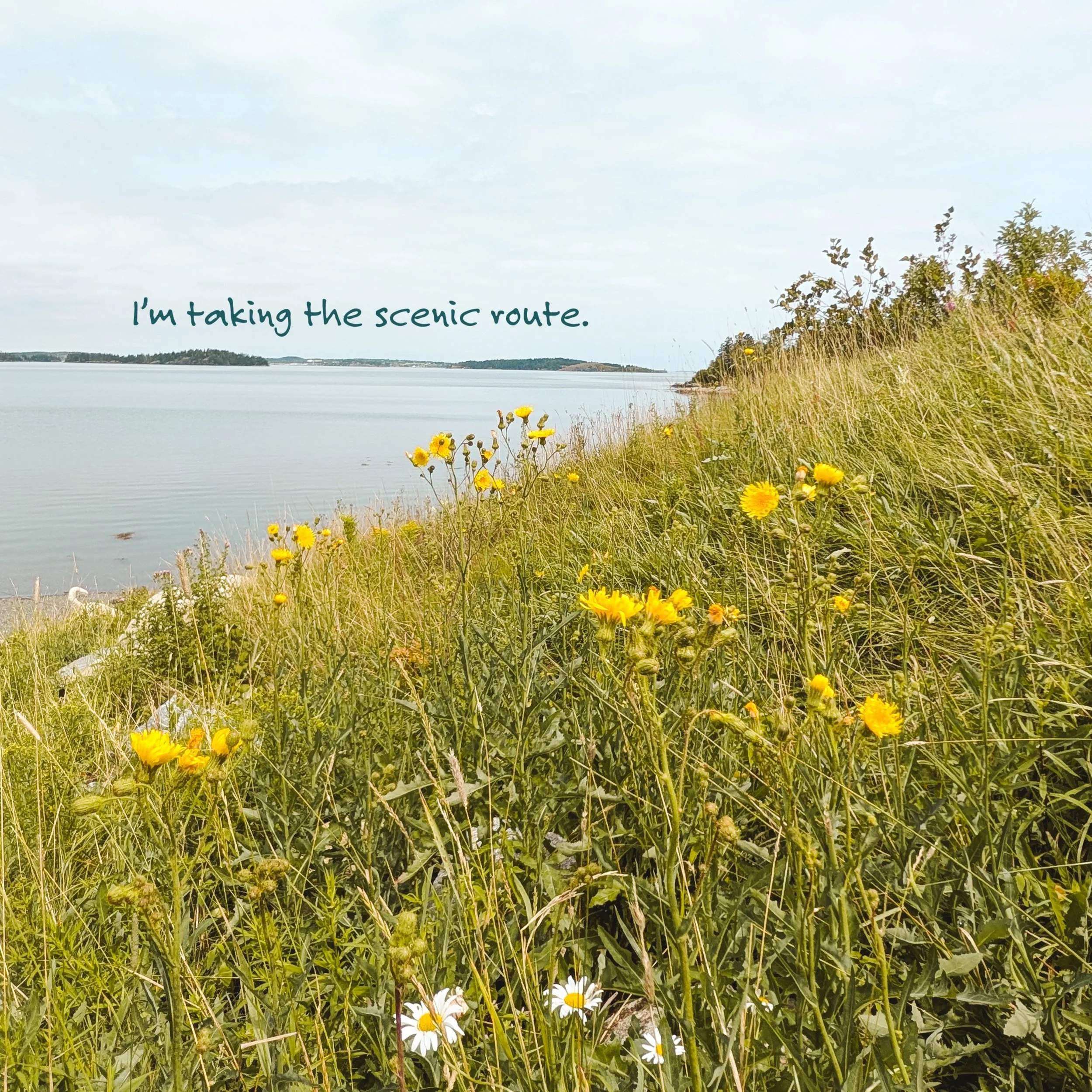 I&rsquo;m taking the scenic route. 
#photography #maine #lubec