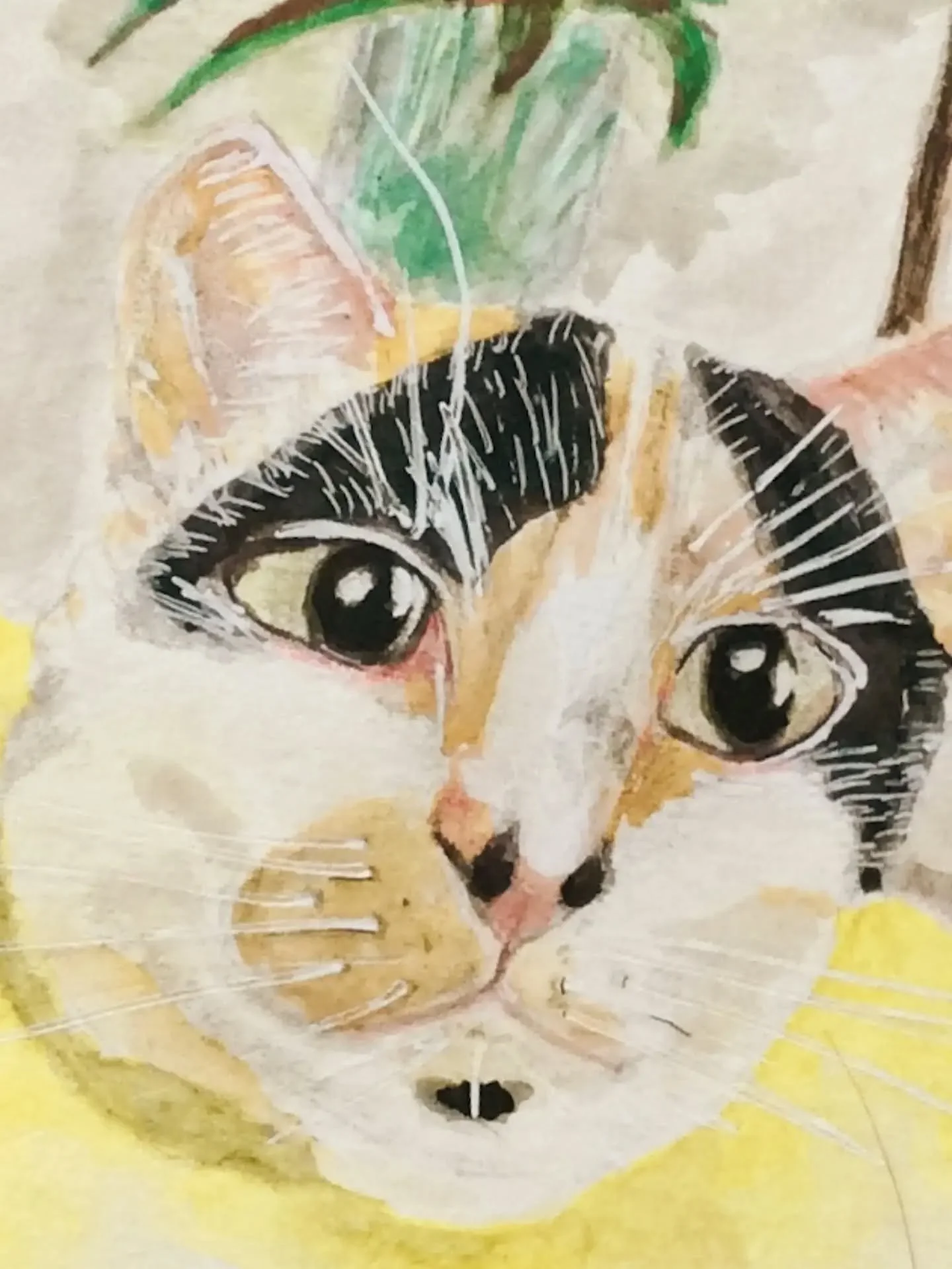 My sweet Lady Anne. Love you to the moon and back! 🚀🐈#catscatscats #artcat