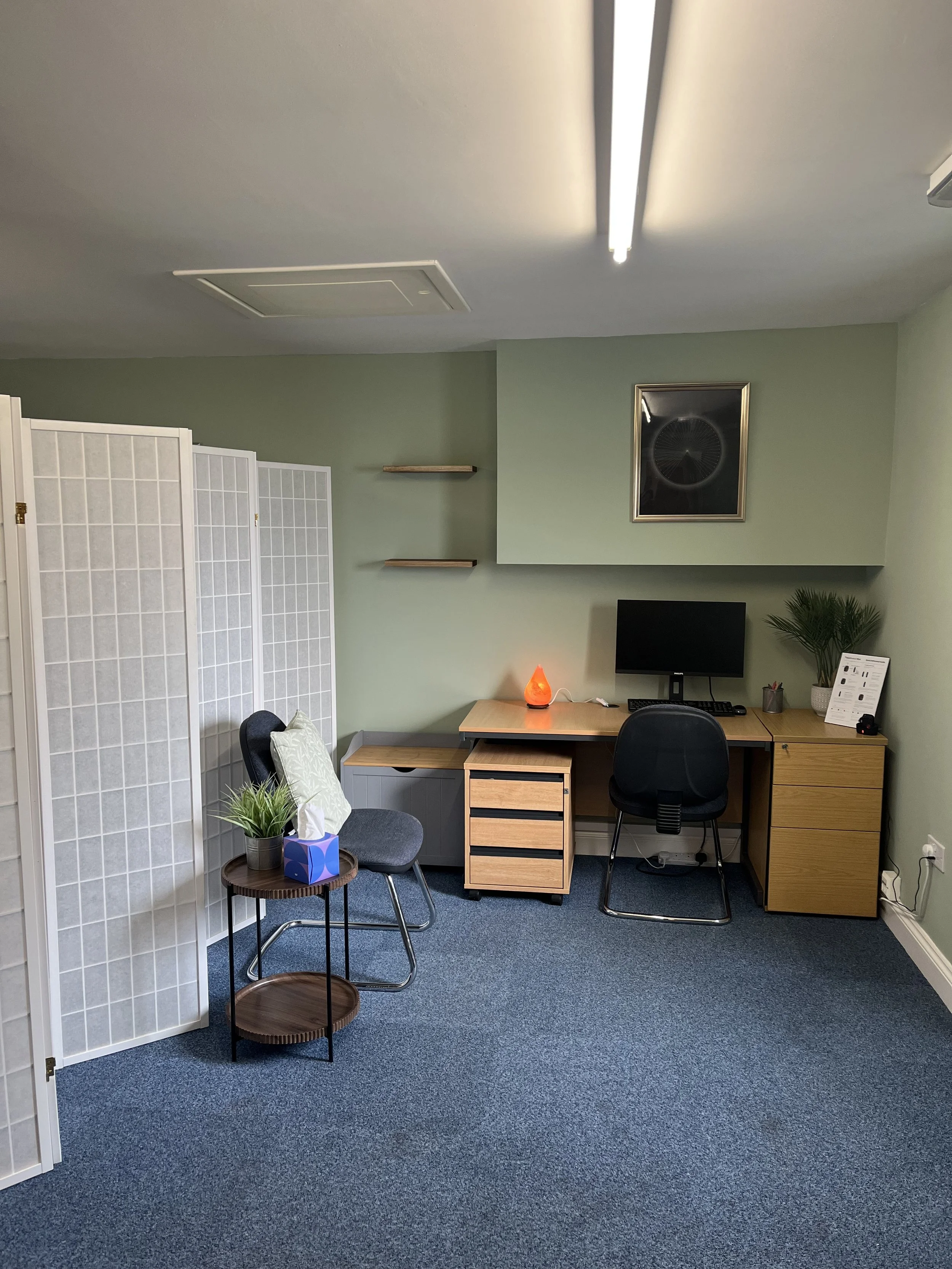 Modern home office with desk, computer monitor, office chair, plants, wall art, shelving, and a folding room divider.
