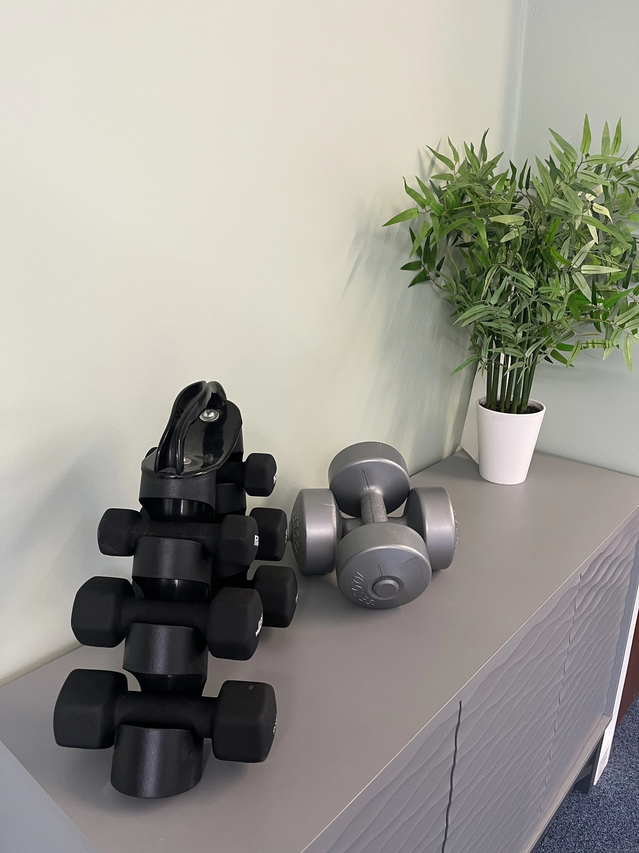 Black and gray dumbbells arranged on a dresser beside a potted green plant