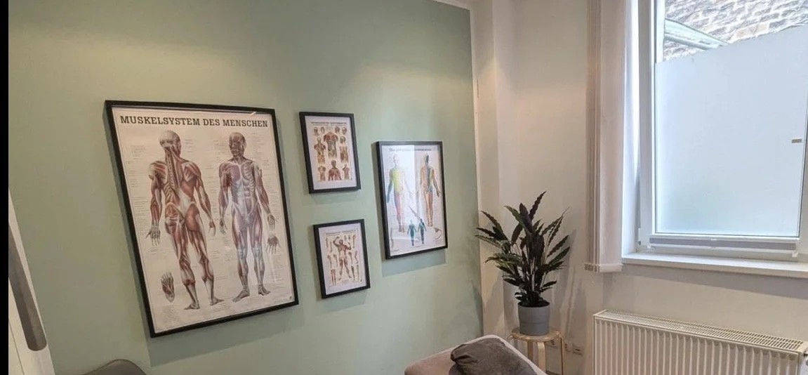 Medical office or clinic with anatomical posters on a light green wall, a potted plant near a window, and a beige couch.