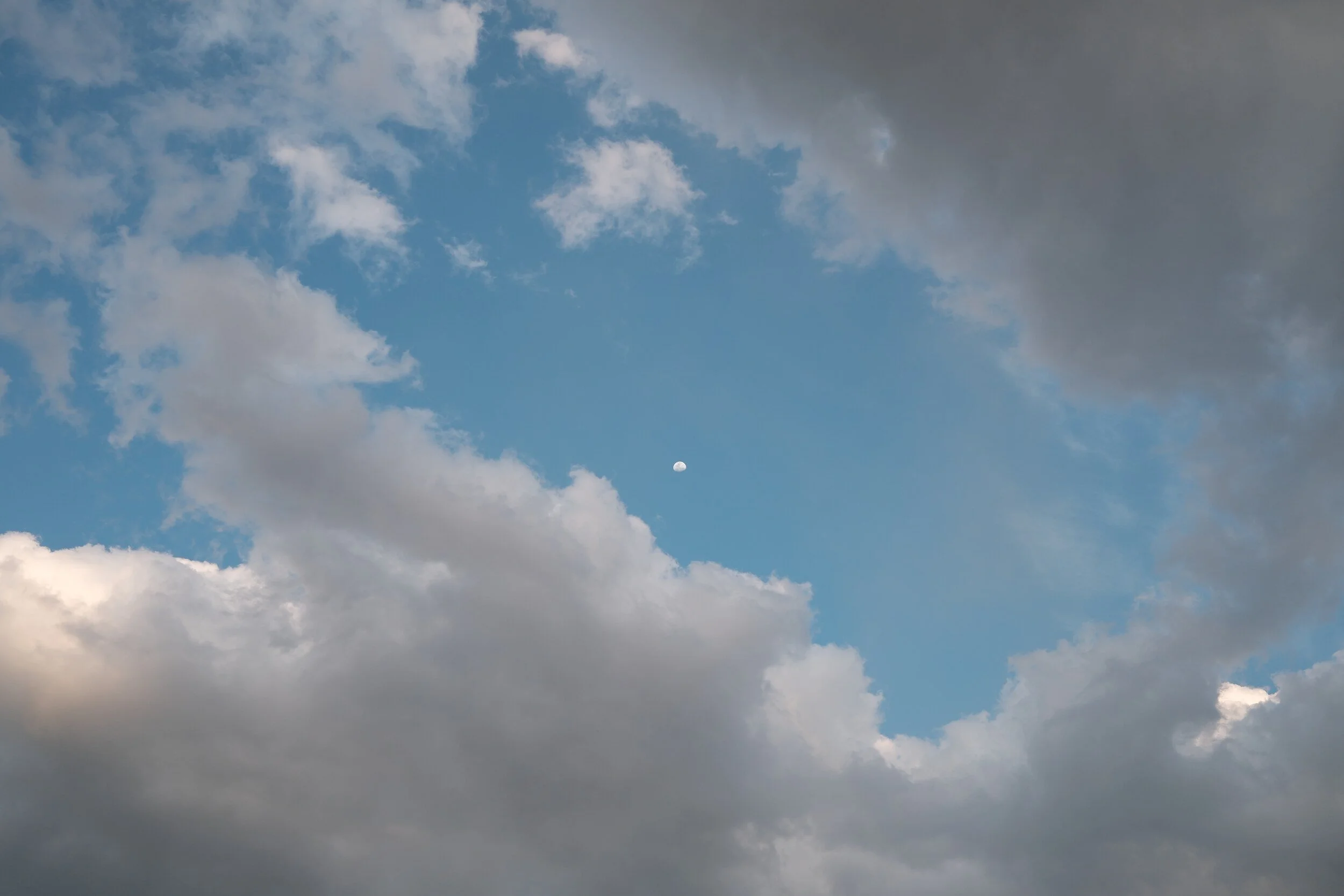 DSCF0091.jpg