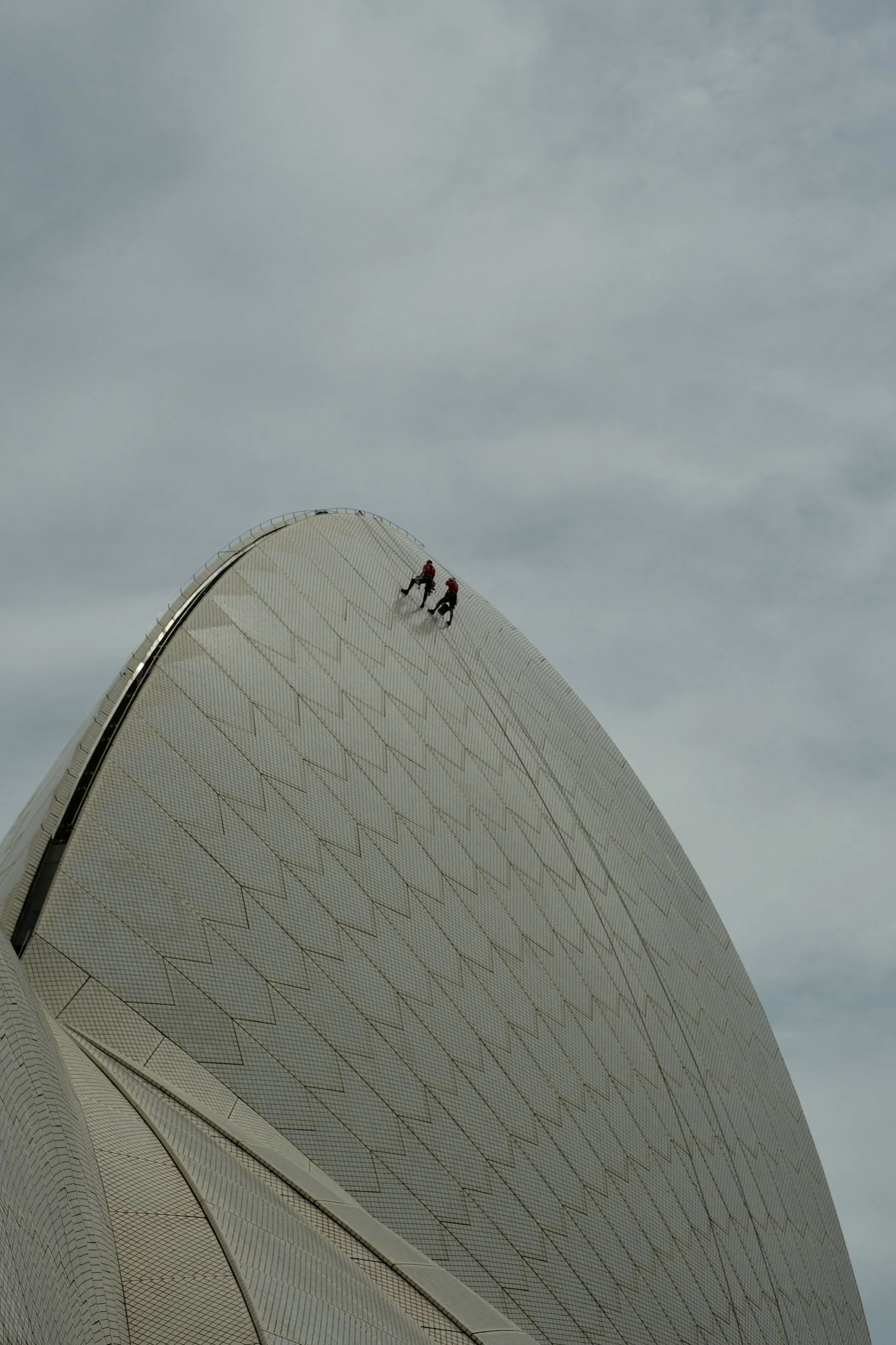 D4AC8953-B44F-4D74-B410-C3274F8BF1C5-18580-0000099037D23127.jpg