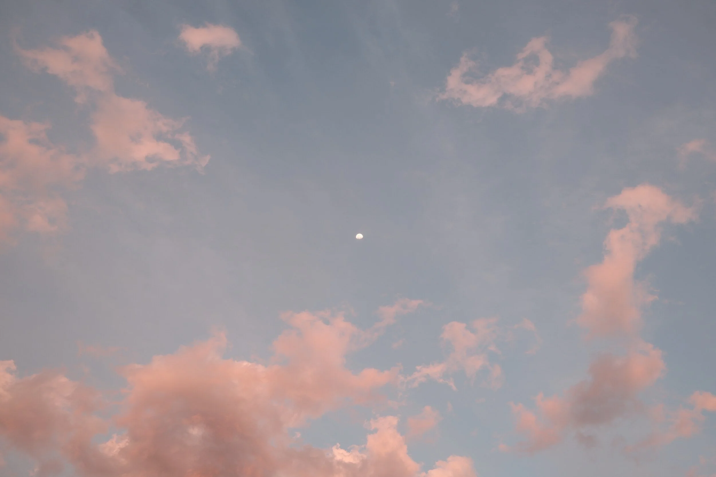 DSCF0102.jpg