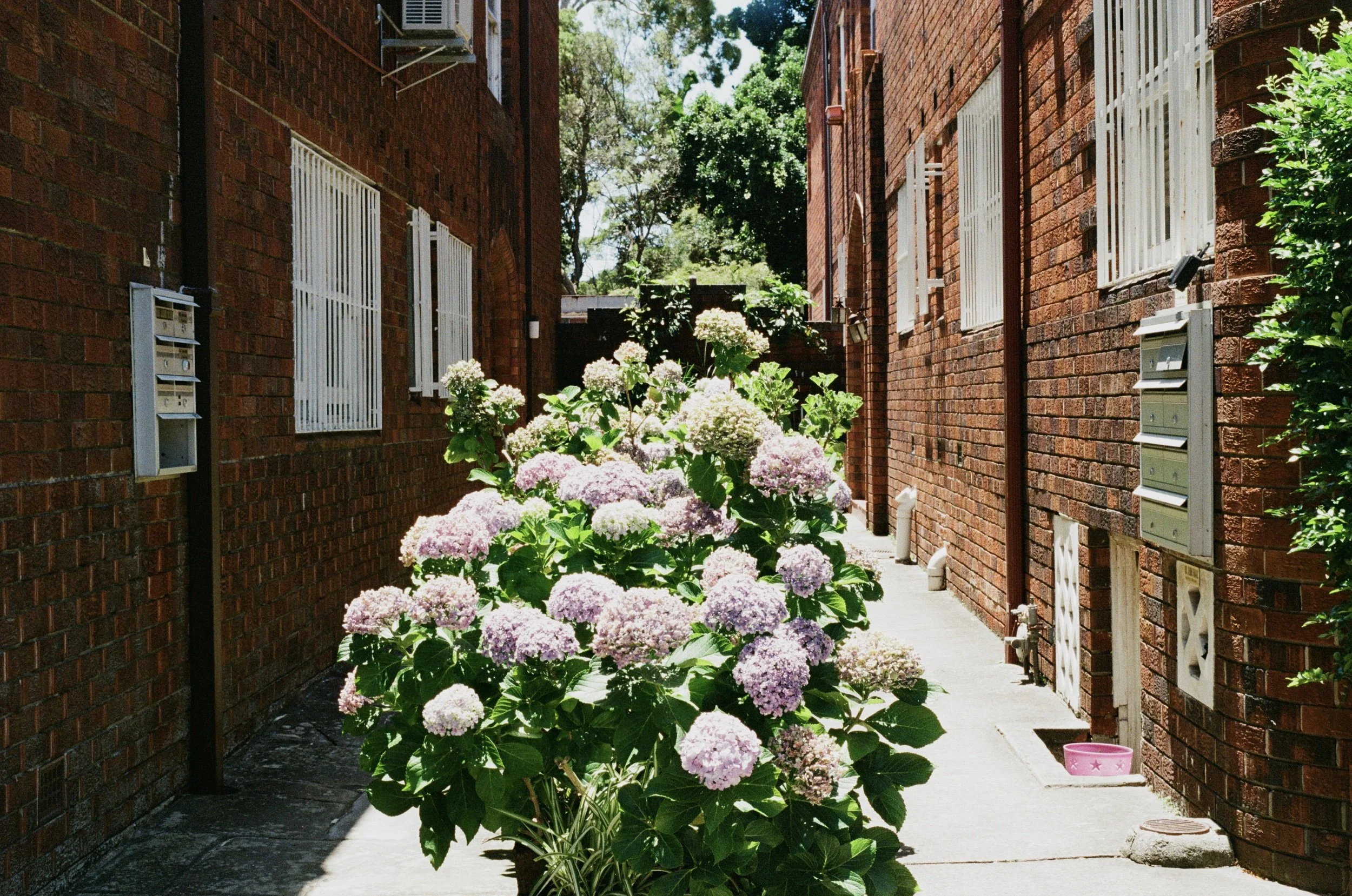 film