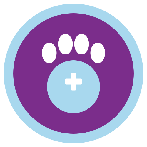 Furst Aid