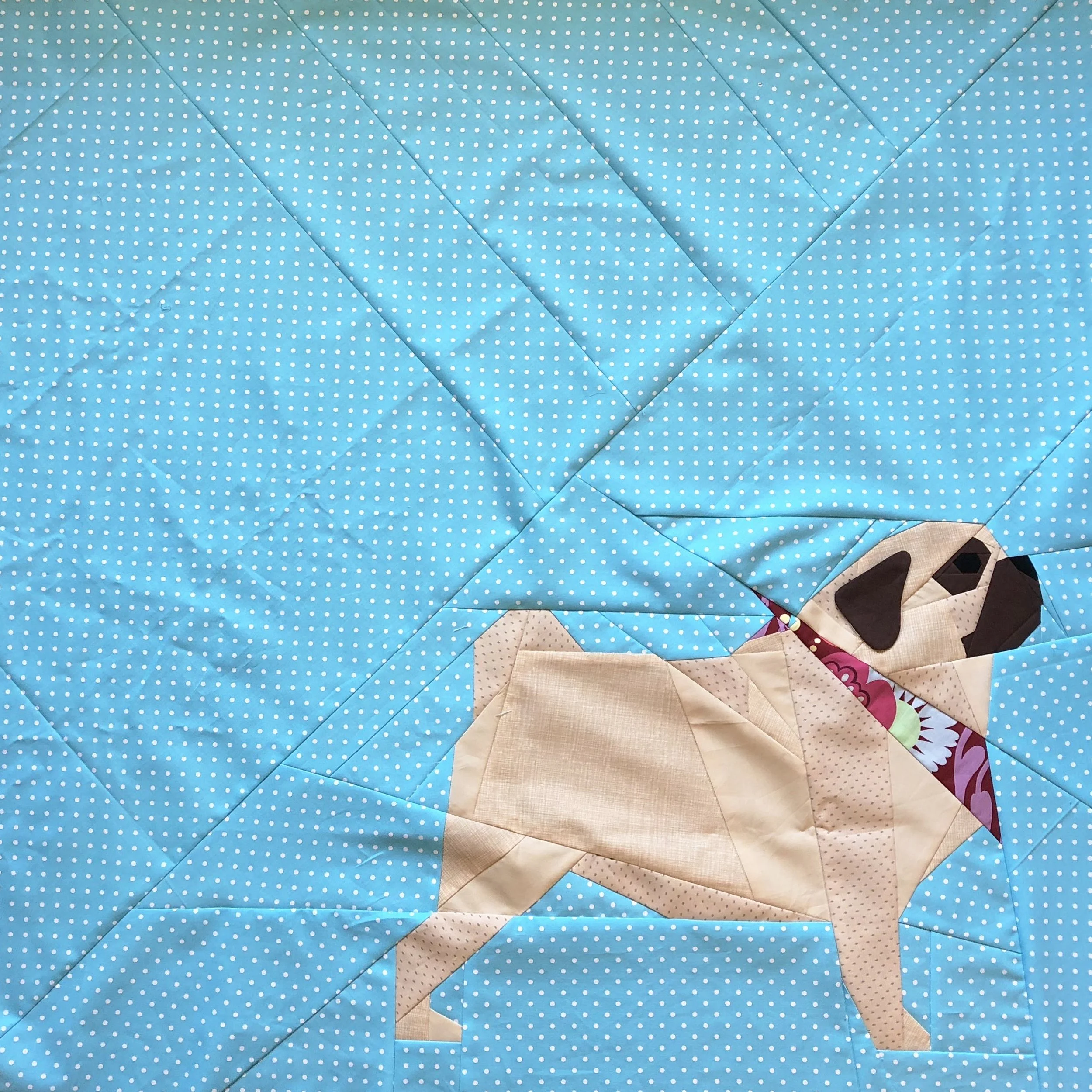 Pug 2.jpg