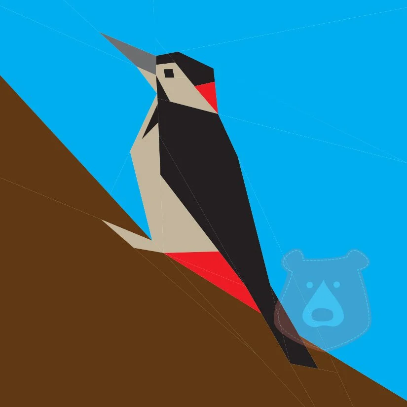 Woodpecker.jpg