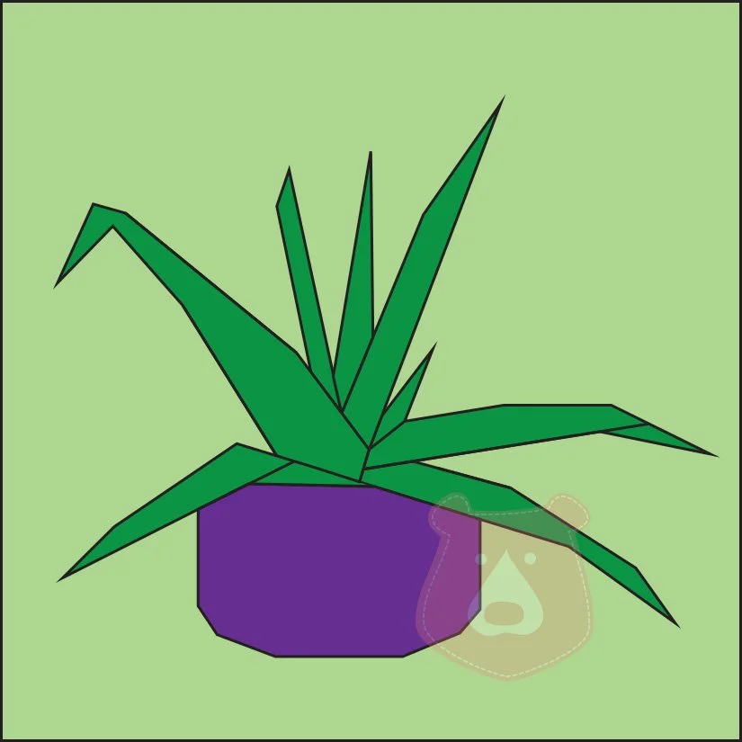 Spider plant.jpg