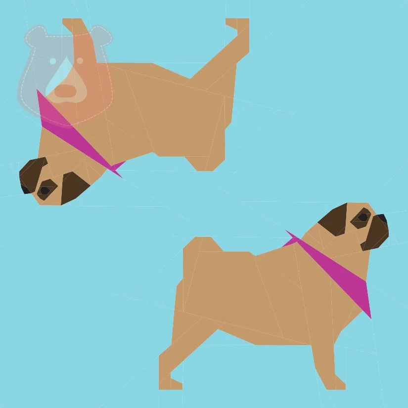 Pugs.jpg