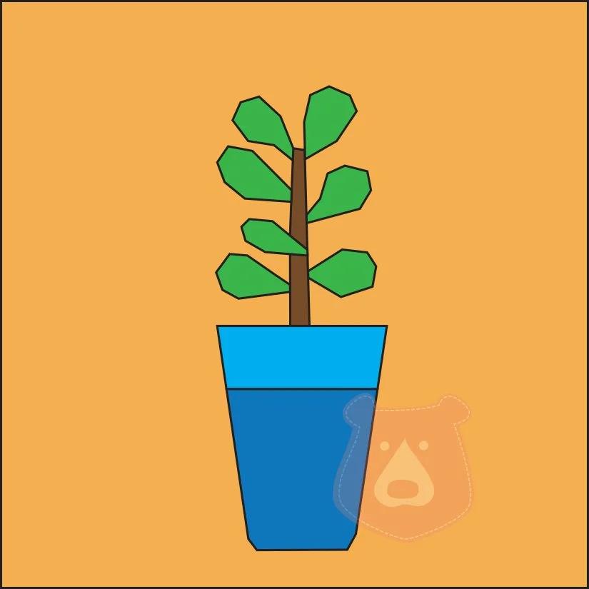 Moneyplant.jpg