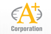 Provided auditing services to A-Plus Corporation.