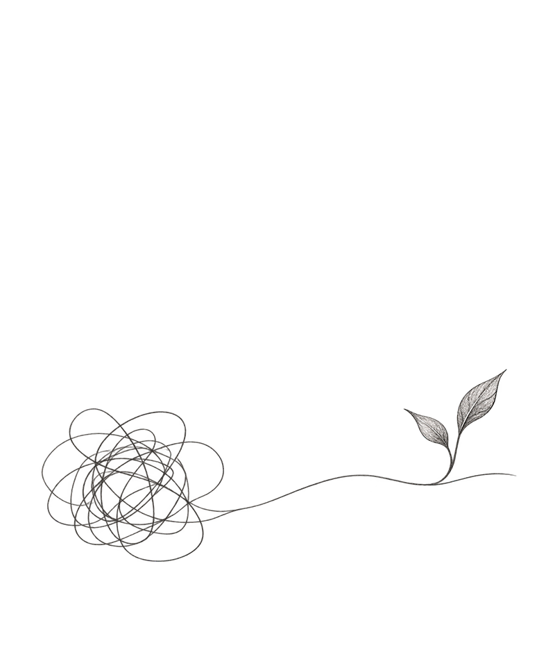 Pencil sketch styled image of a scribbled ball connected to two leaves by a thin line, symbolizing a tangled problem and an idea or solution.
