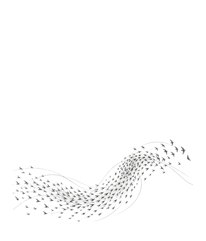 Pencil sketch styled image of a group of birds.