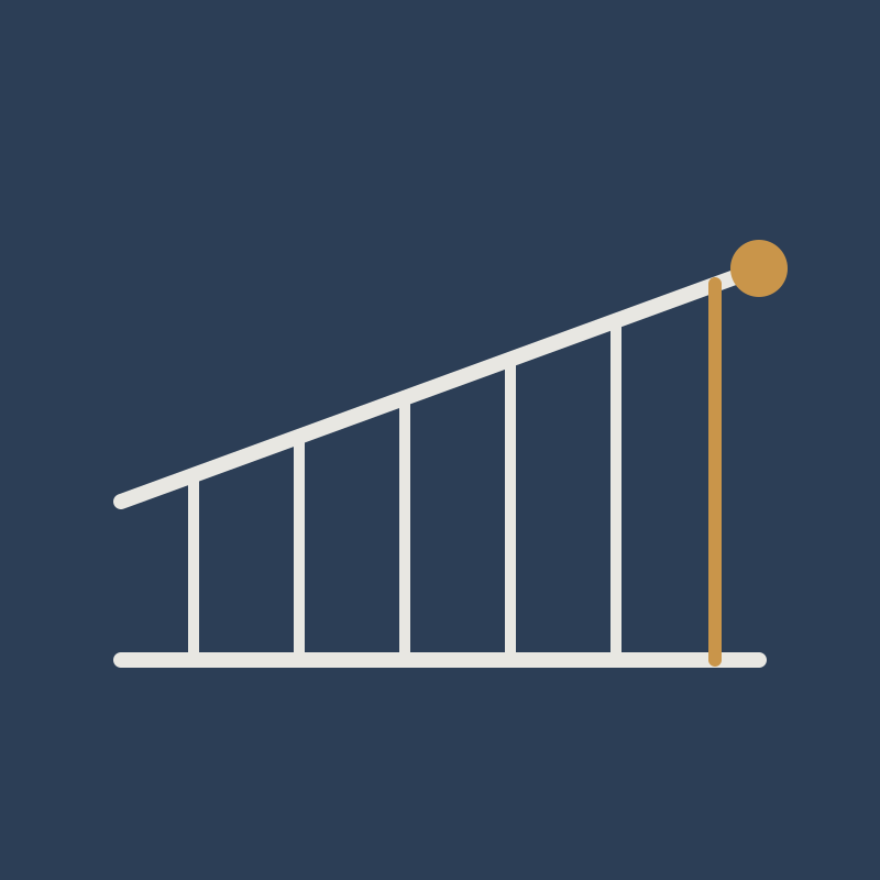 Growth Strategy