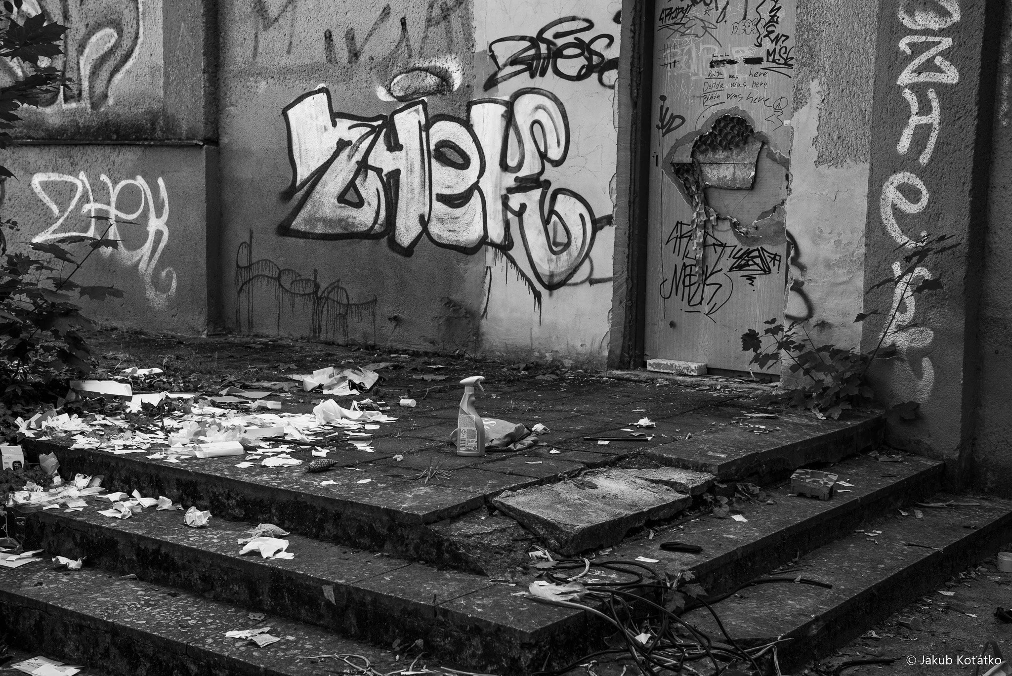 JakubKoťátko-122.jpg