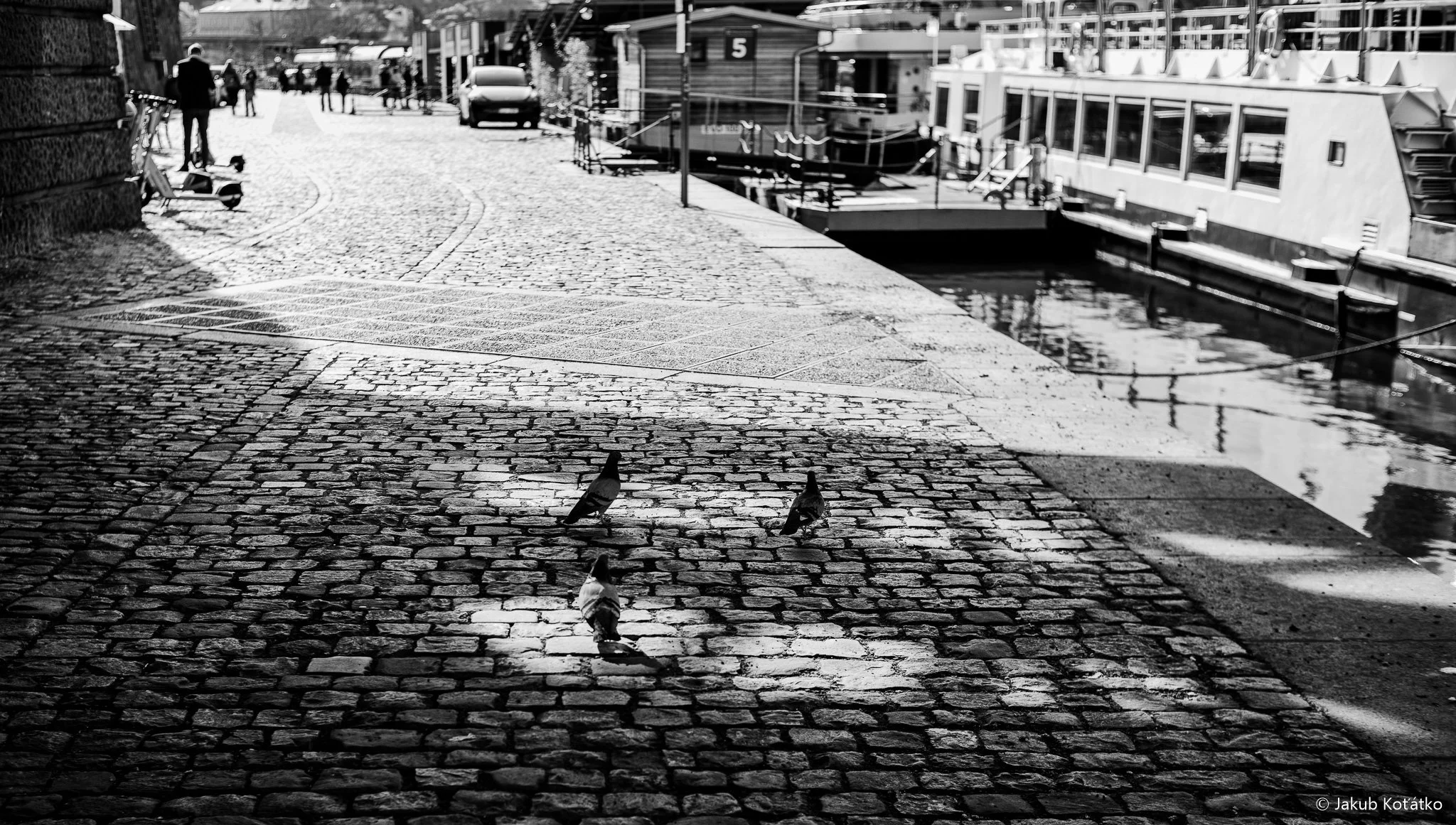 JakubKoťátko-75.jpg