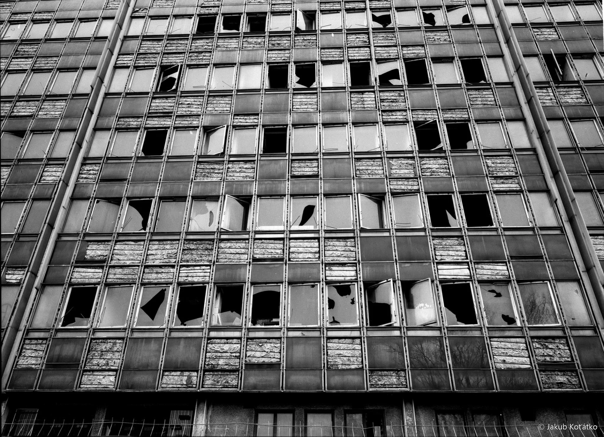 JakubKoťátko-17.jpg