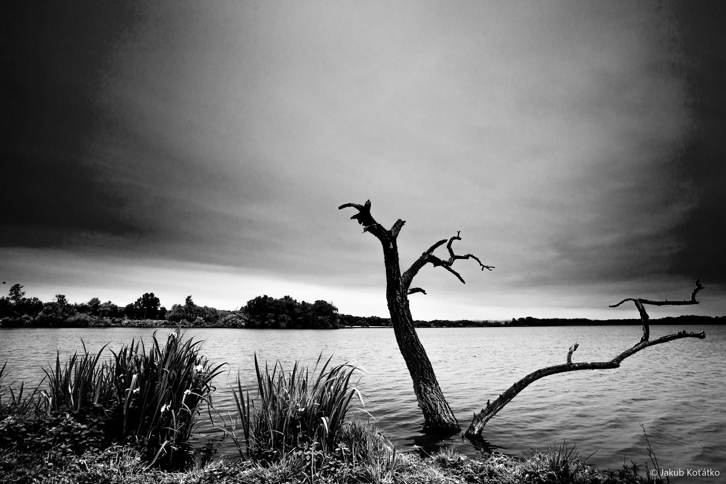 JakubKoťátko-9.jpg