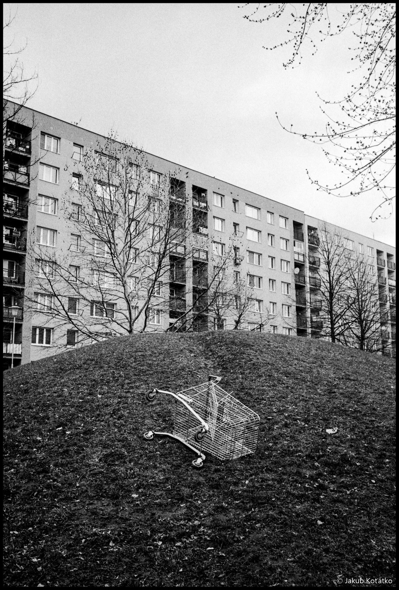 JakubKoťátko-7.jpg