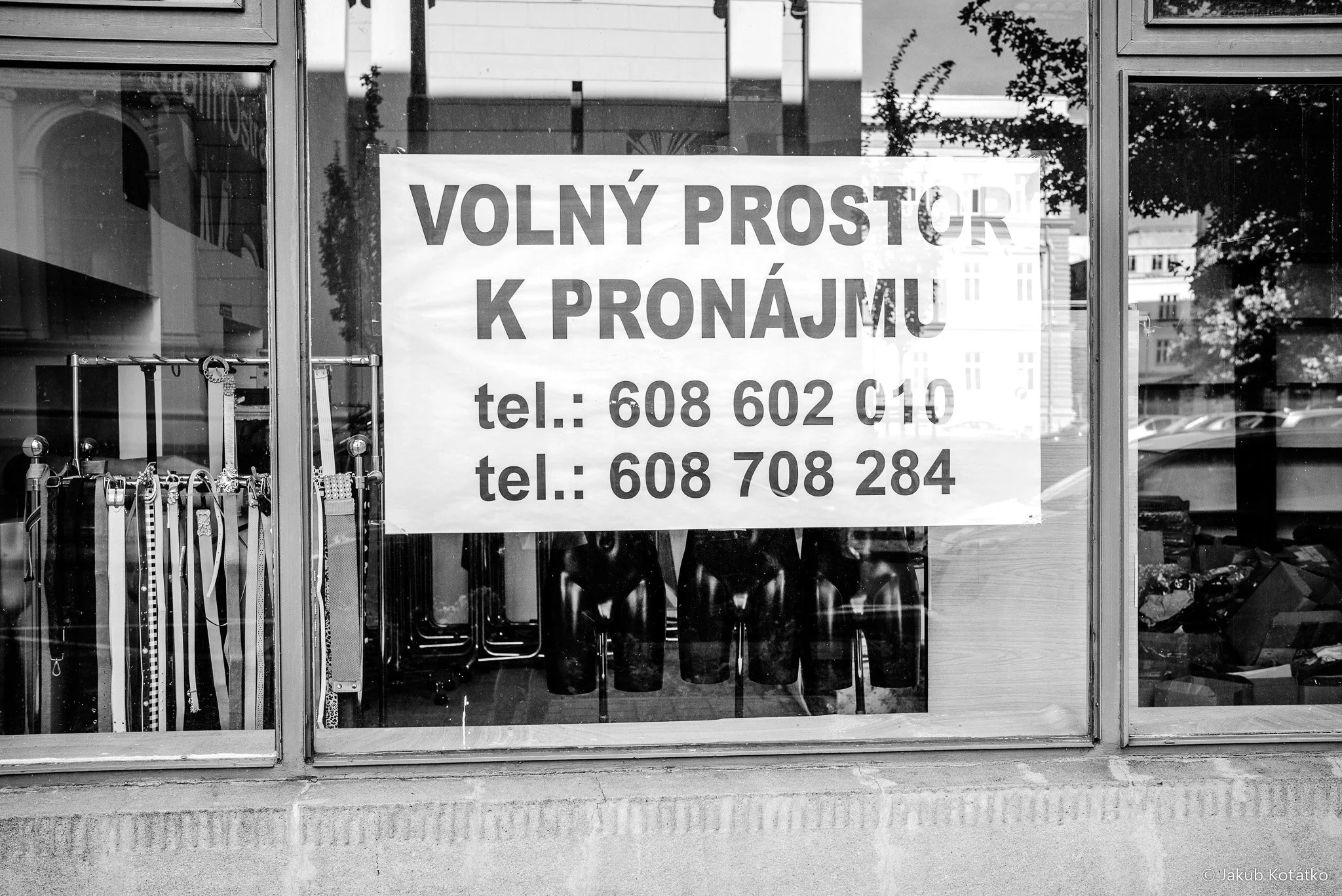 JakubKoťátko-84.jpg