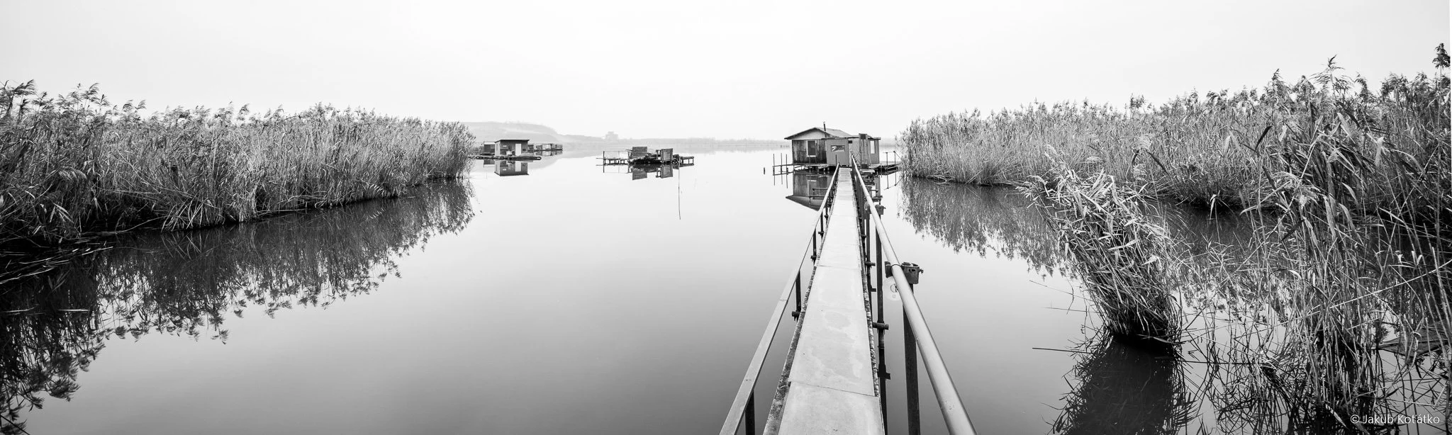 JakubKoťátko-50.jpg