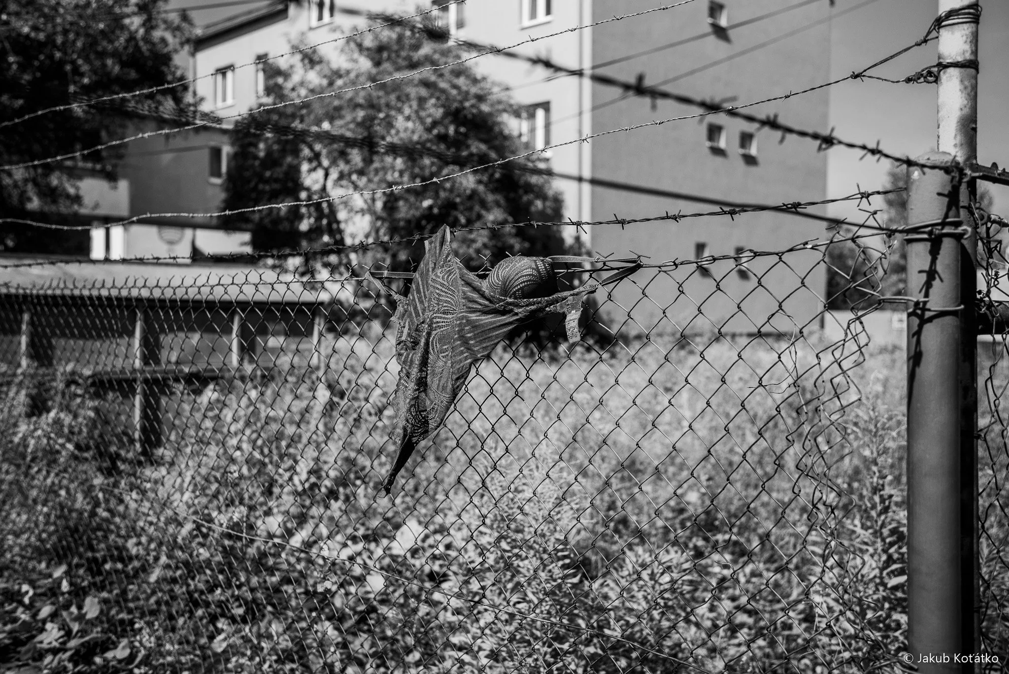 JakubKoťátko-83.jpg