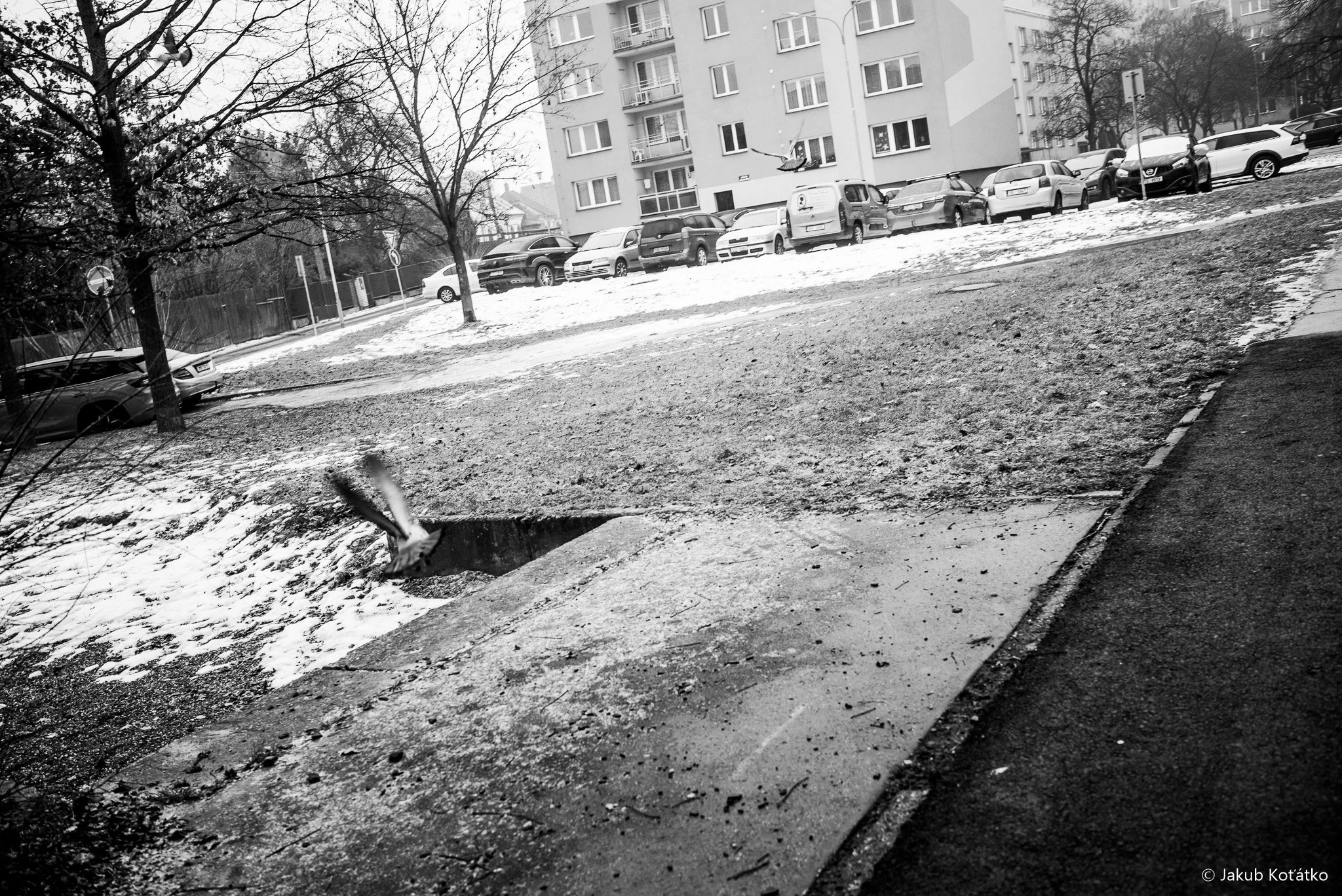 JakubKoťátko-105.jpg