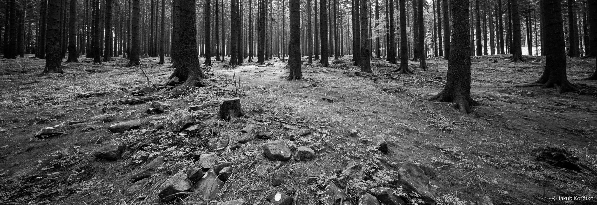 JakubKoťátko-81.jpg