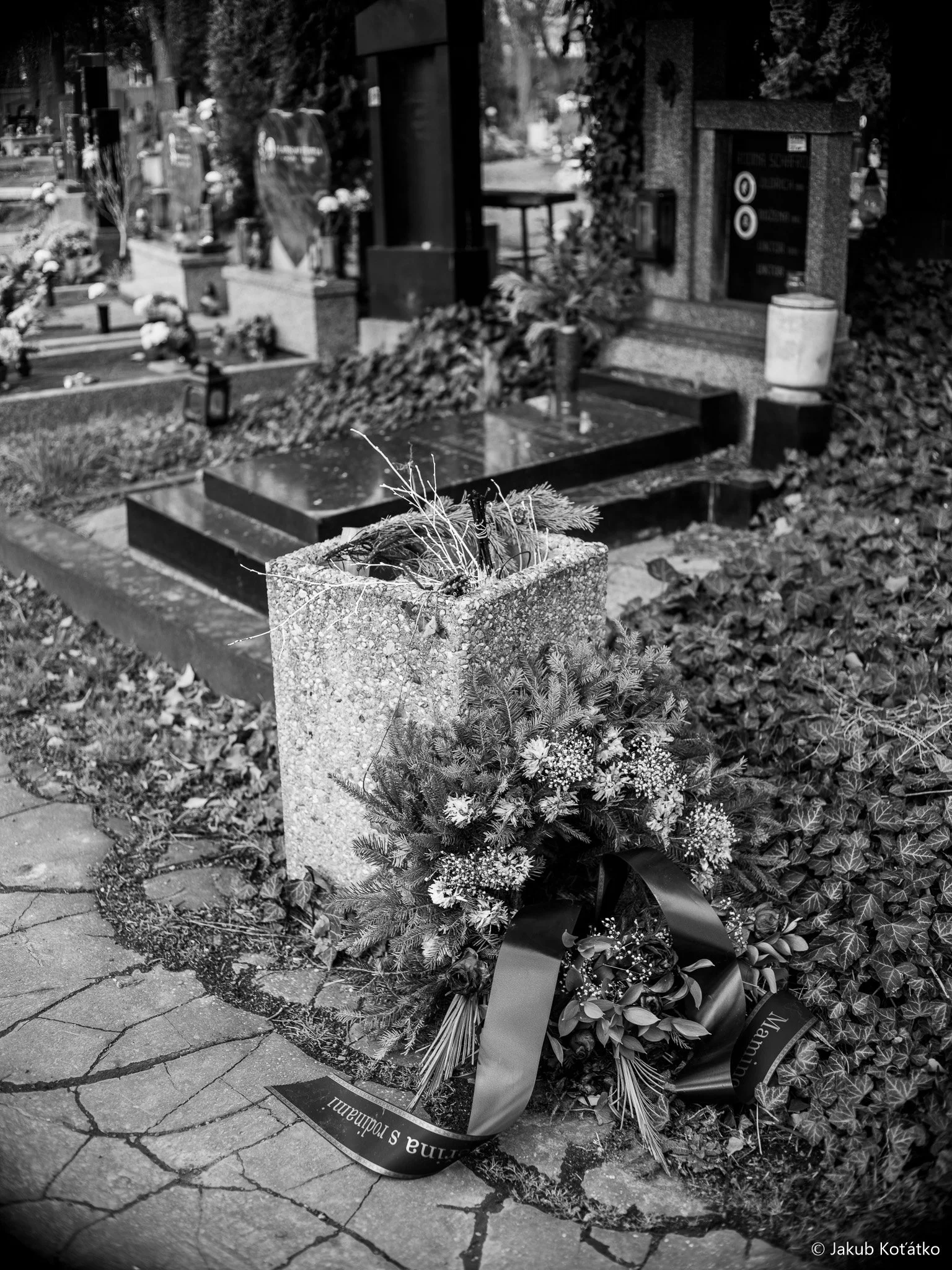 JakubKoťátko-56.jpg