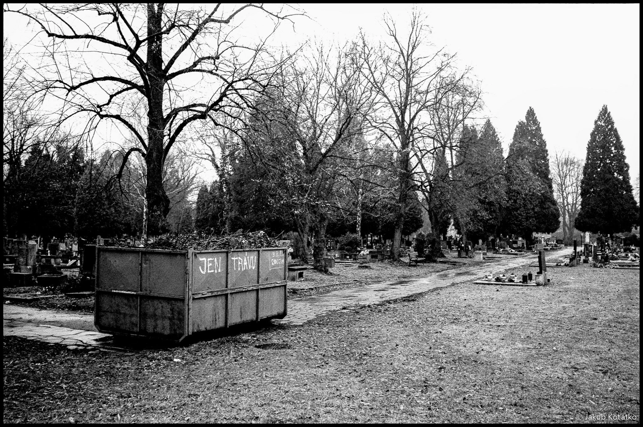JakubKoťátko-5.jpg