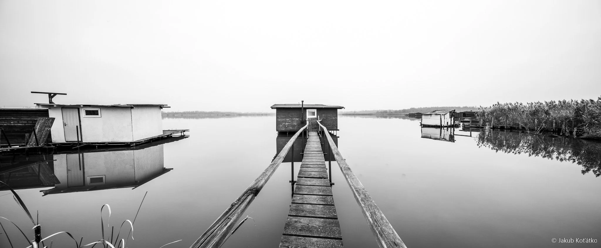 JakubKoťátko-49.jpg