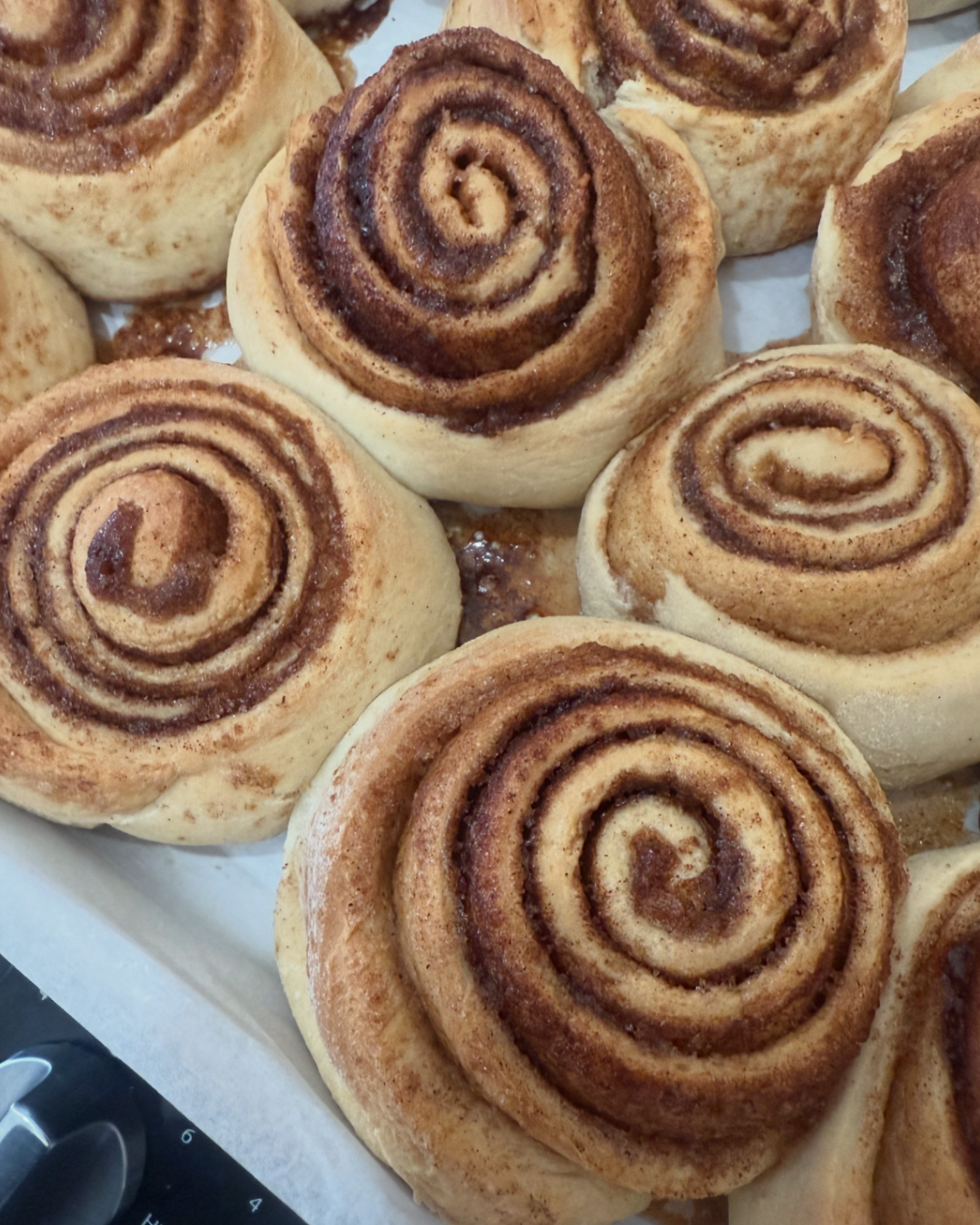 Cinnamon Rolls with Vanilla Icing