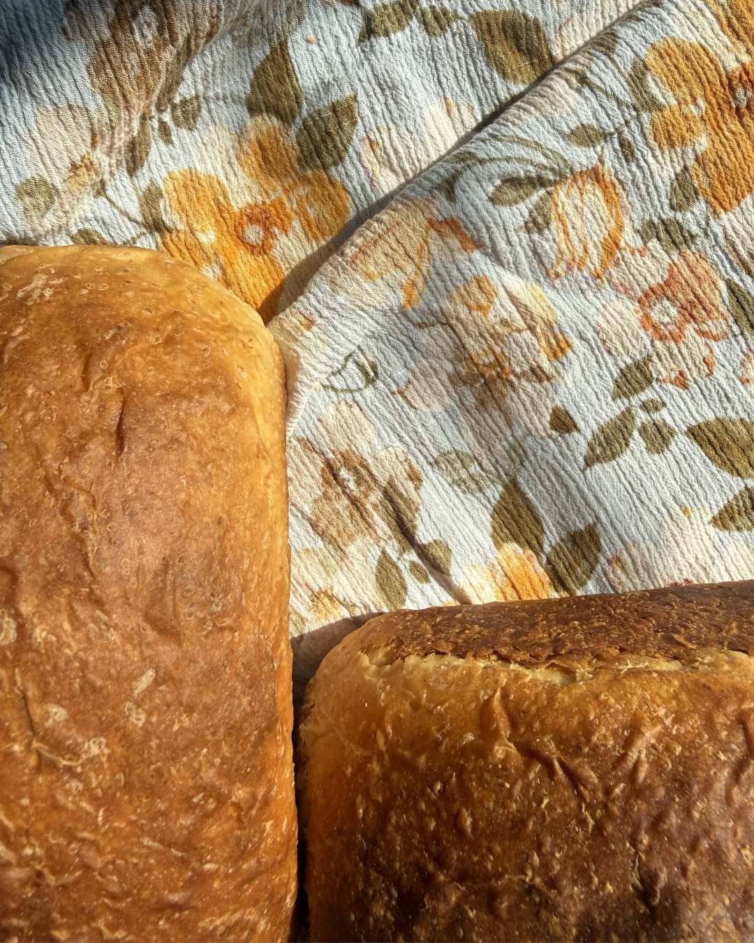 Yeasted Breads