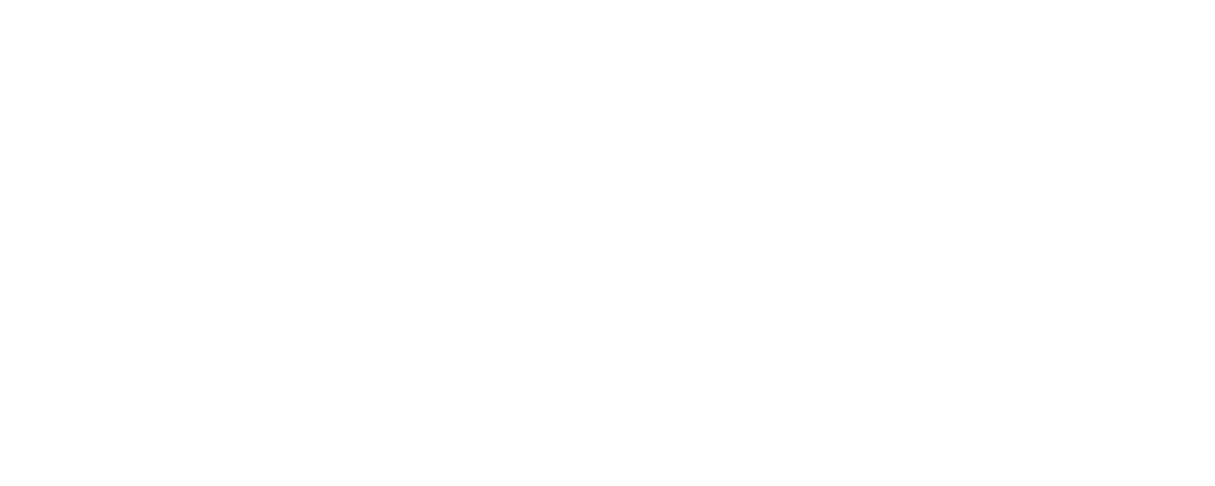big night logo in white